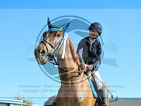 ref. photo 4030277