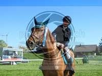 ref. photo 4030278
