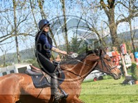 ref. photo 4030306