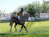 ref. photo 4030318
