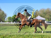 ref. photo 4030470