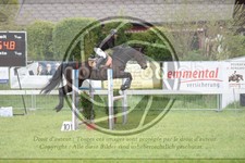 ref. photo 3579553