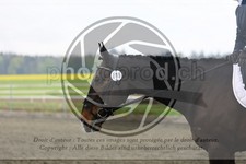 ref. photo 3579912