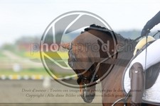 ref. photo 3580114
