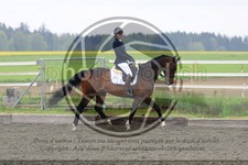ref. photo 3580120