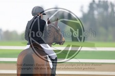 ref. photo 3580145