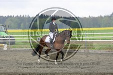 ref. photo 3580149