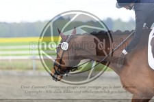 ref. photo 3580181