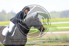 ref. photo 3580247