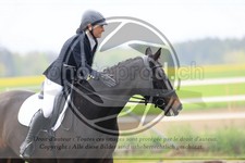 ref. photo 3580248