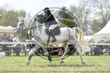 ref. photo 3580296
