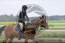 ref. photo 3580318