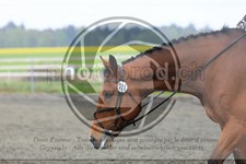 ref. photo 3580321