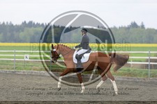 ref. photo 3580462