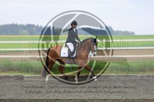 ref. photo 3580549