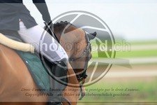 ref. photo 3580723