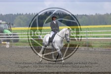 ref. photo 3581104