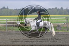 ref. photo 3581107