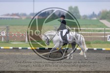 ref. photo 3581111