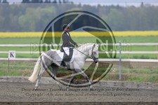 ref. photo 3581114
