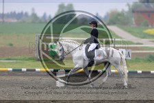 ref. photo 3581119
