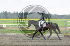 ref. photo 3581130