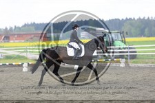 ref. photo 3581133