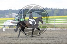 ref. photo 3581134