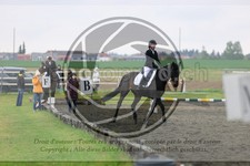 ref. photo 3581145