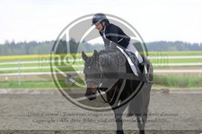 ref. photo 3581157
