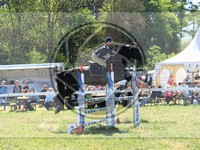 ref. photo 4031143