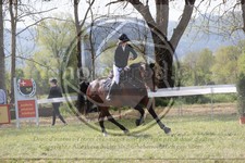 ref. photo 4031214