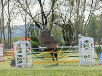 ref. photo 4031370