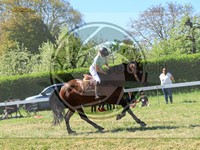 ref. photo 4031374