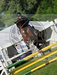 ref. photo 4031734