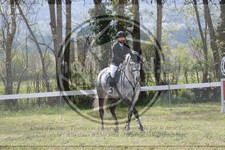 ref. photo 4031746