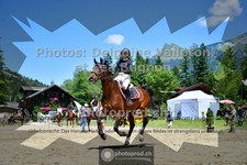 ref. photo 3710390
