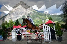 ref. photo 3710535