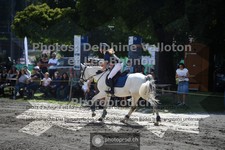 ref. photo 3710563