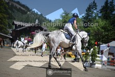 ref. photo 3710650