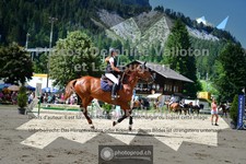 ref. photo 3710695