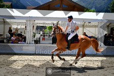 ref. photo 3710826