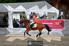 ref. photo 3710866