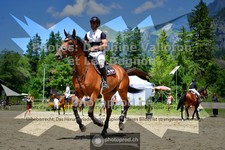 ref. photo 3710916