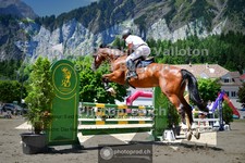 ref. photo 3710996