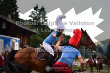 ref. photo 3711093