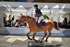 ref. photo 3711102