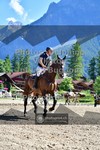 ref. photo 3711106