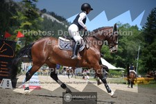 ref. photo 3711136