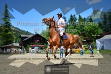 ref. photo 3711137